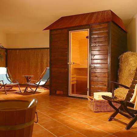 Airporthotel Regent 3* ハルベルクモース